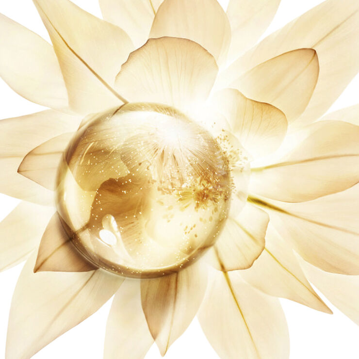 Prodigy Cellglow Anti-Aging Cream