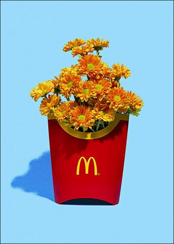 Super Mercat - Flower fries 30x40