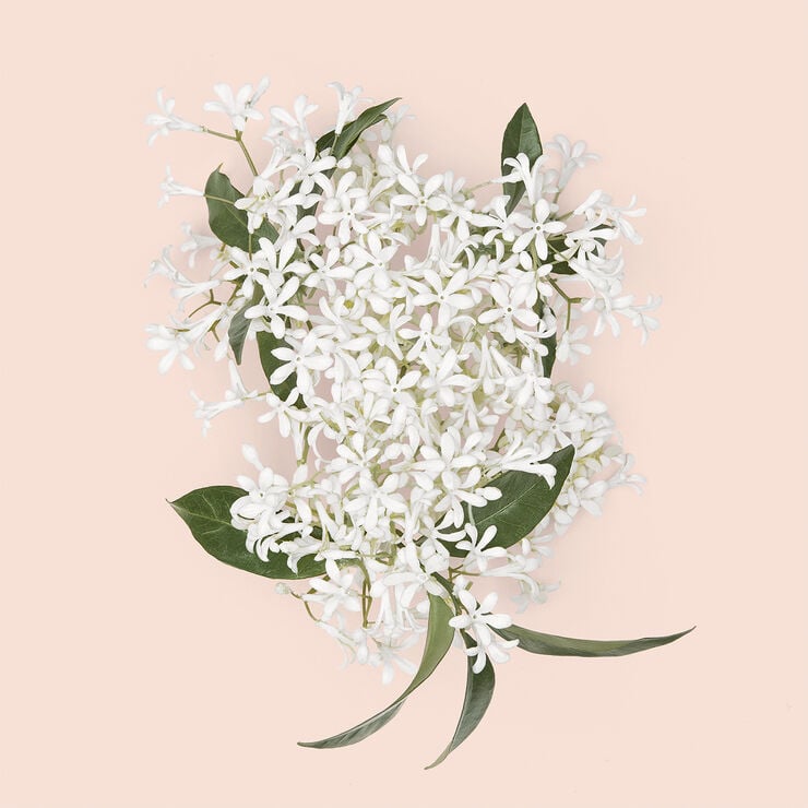 Gucci Bloom Intense Eau de Parfum