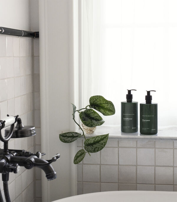 Conditioner SKOG 500ml