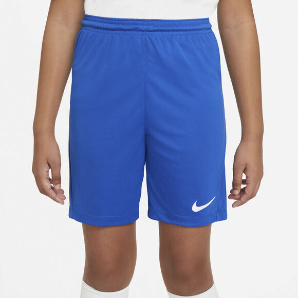 Dri Fit Park 3 Traeningsshorts