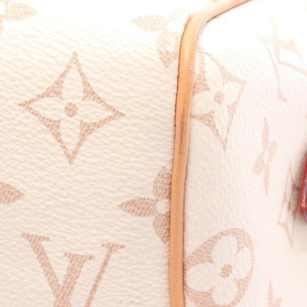 Louis Vuitton Speedy