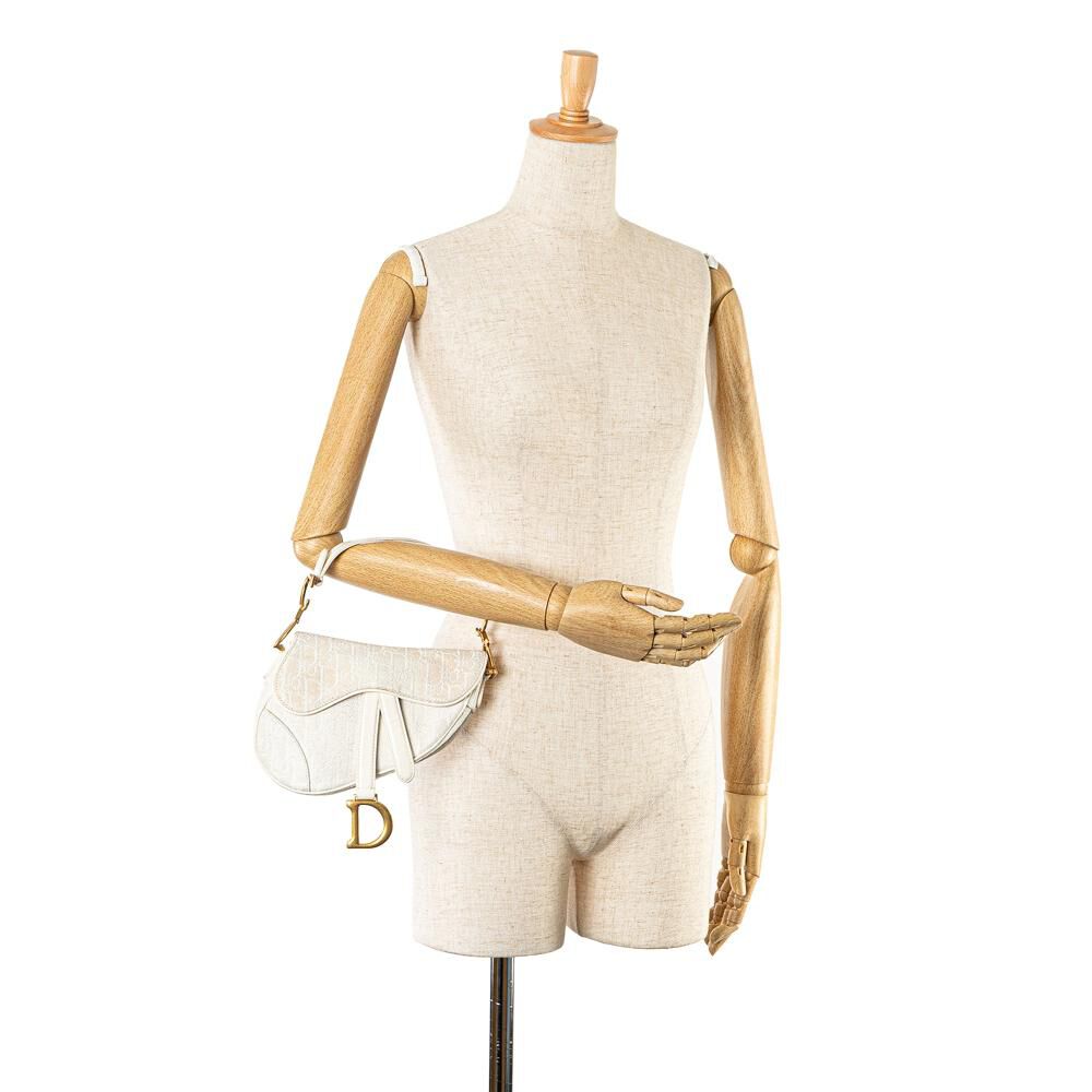 Dior Saddle Bag