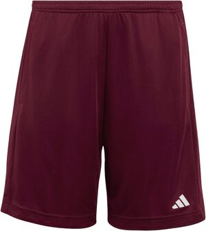 Essentials Logo Shorts