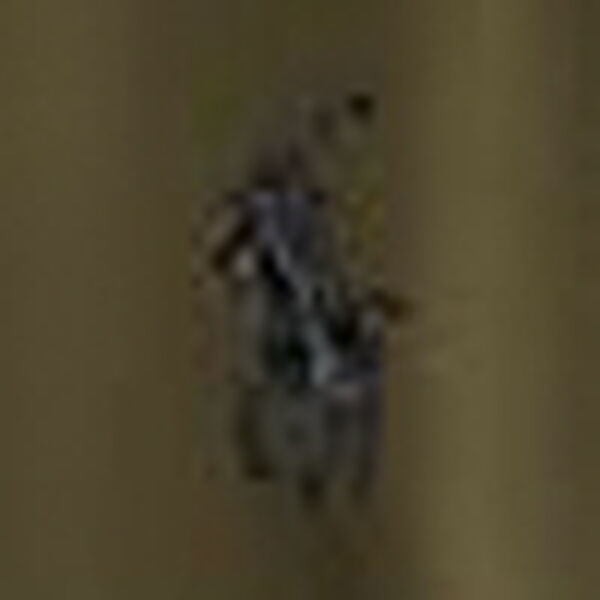 Custom Slim Fit Jersey Crewneck T-Shirt