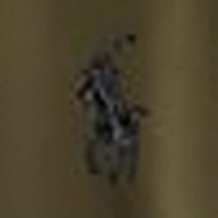 Custom Slim Fit Jersey Crewneck T-Shirt