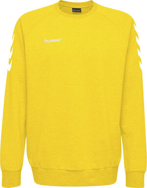 Go sweatshirt