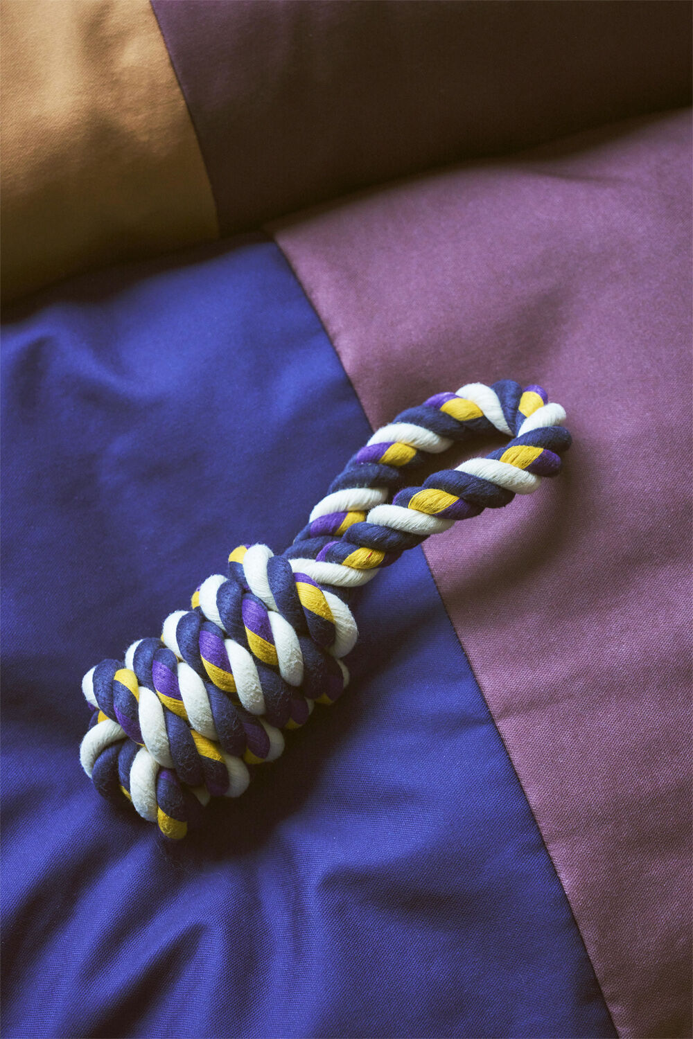 HAY Dogs Rope Toy-Blue, purple, och