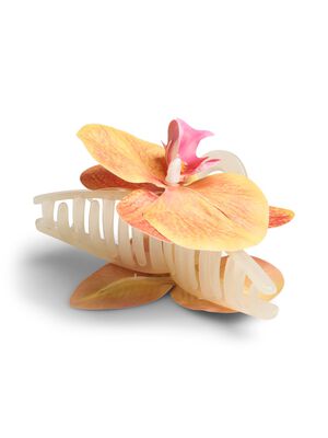 PCKIRGITI A HAIRSHARK