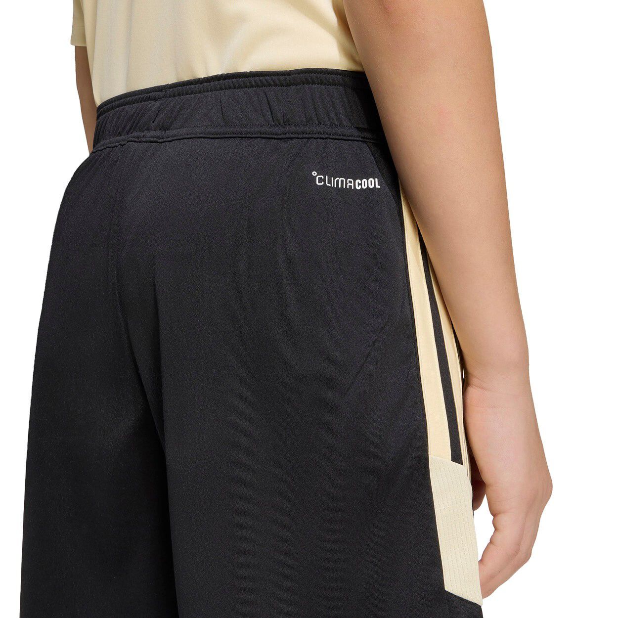 Tiro 26 Essentials Shorts