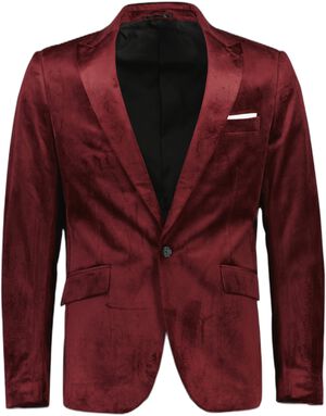 Velvet blazer