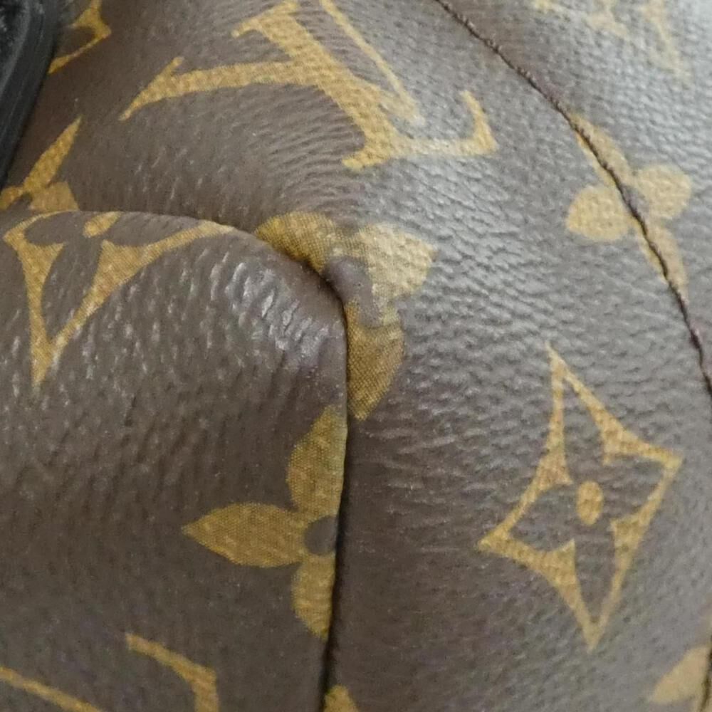 Louis Vuitton Palm Springs