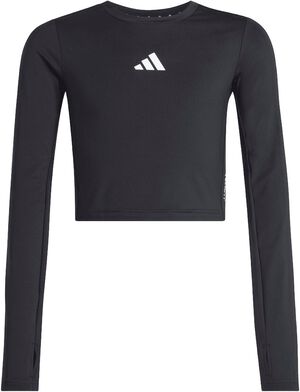 TECHFIT Long-Sleeve Crop Top