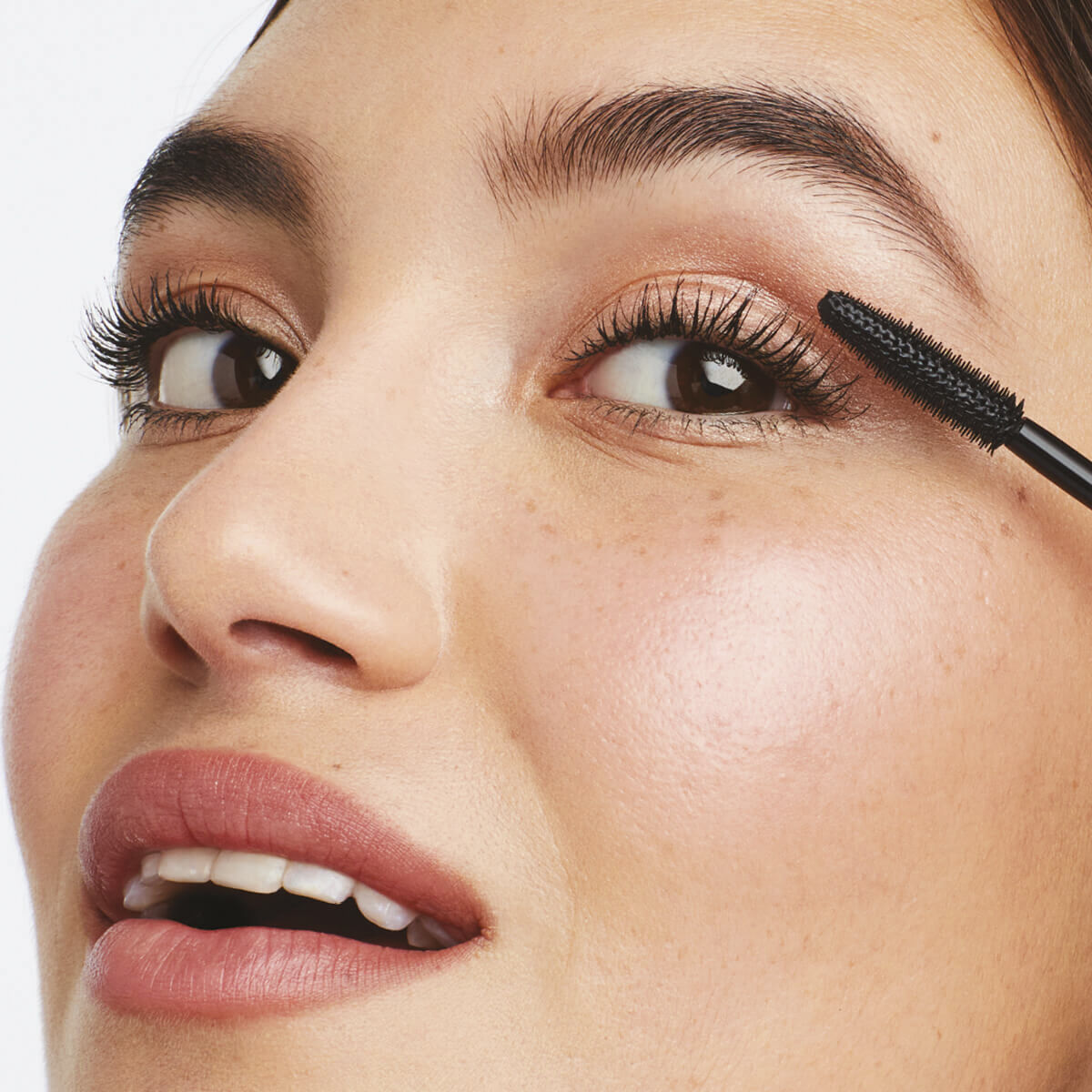 Lash Fixation Length & Definition T