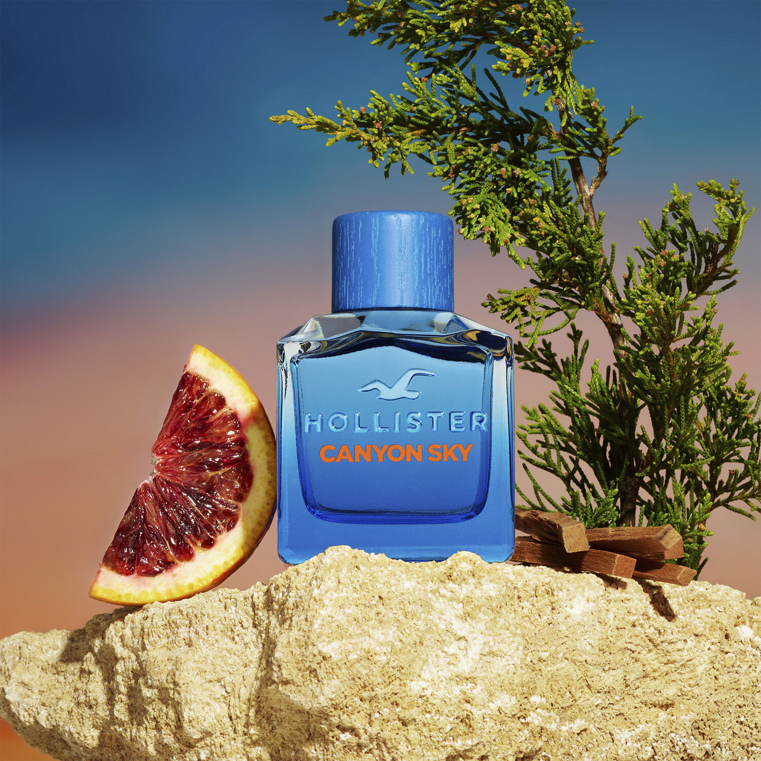 HOLLISTER Canyon Sky For Him Eau de Toilette