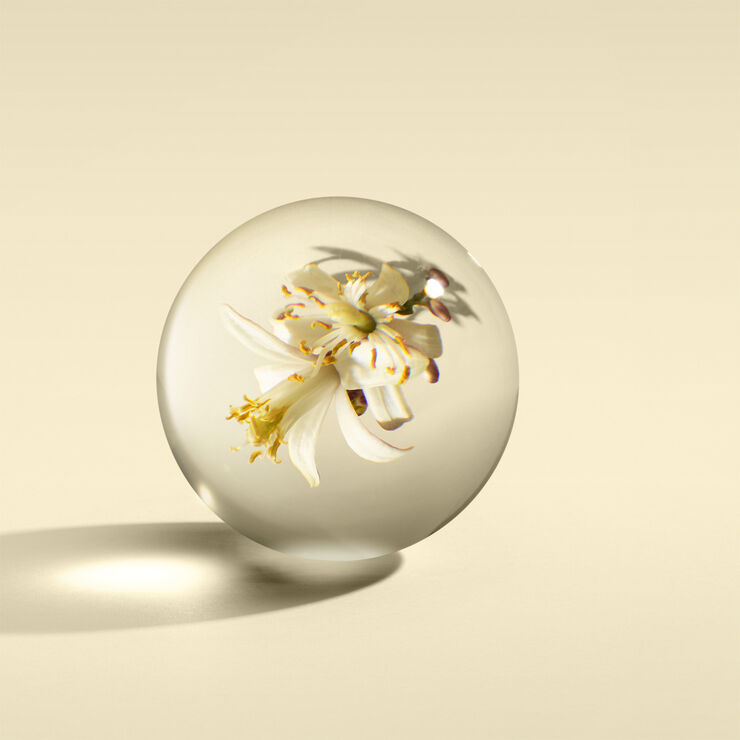 Orange & Bergamot Fine Liquid Hand Wash