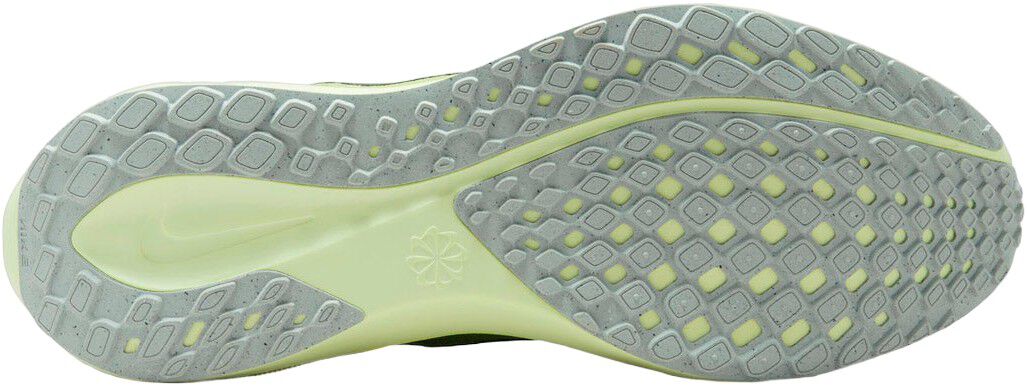 Pegasus 41 L&oslash;besko