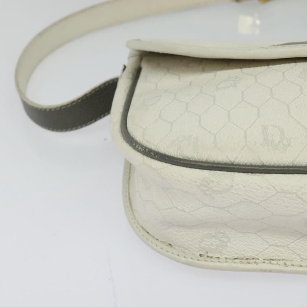 Dior Crossbody Bag