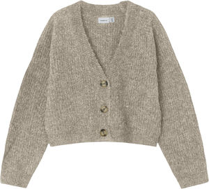 NKFHOLLY BOXY SHORT KNIT CARD NOOS