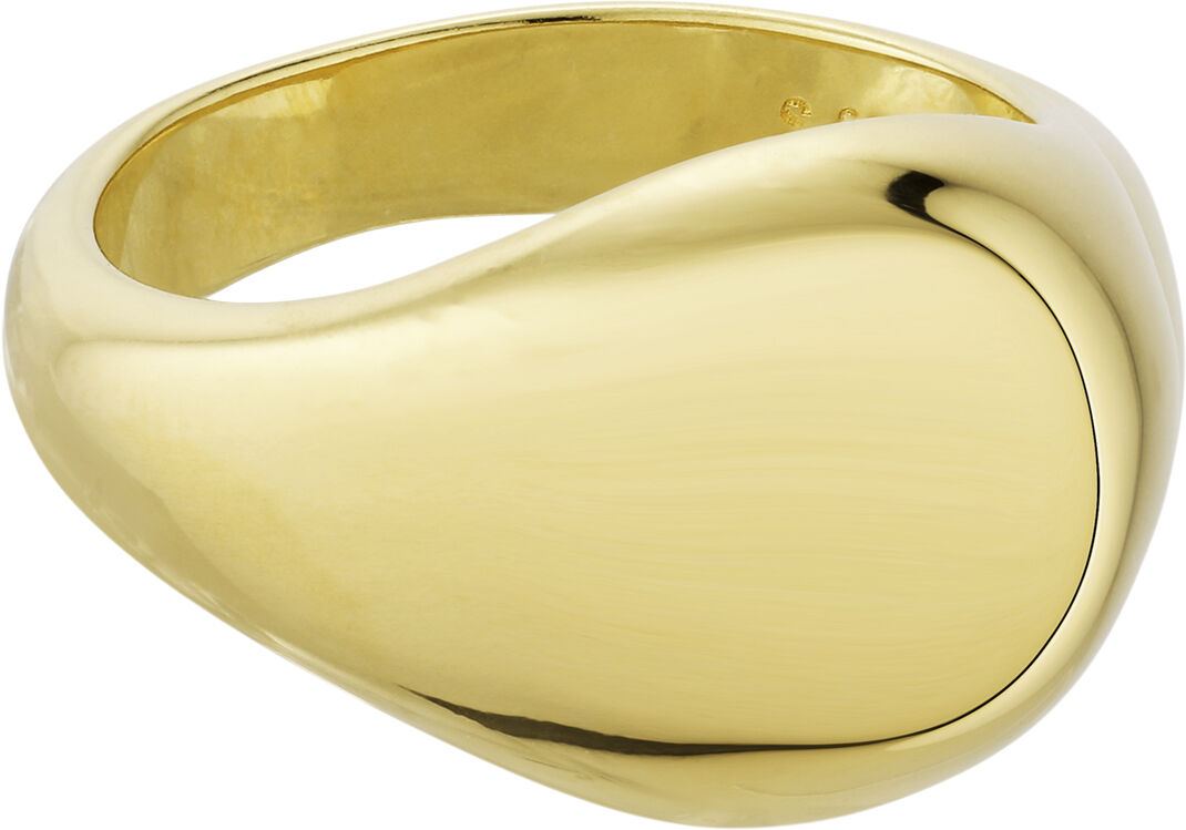 Atomic Dome Signet Ring