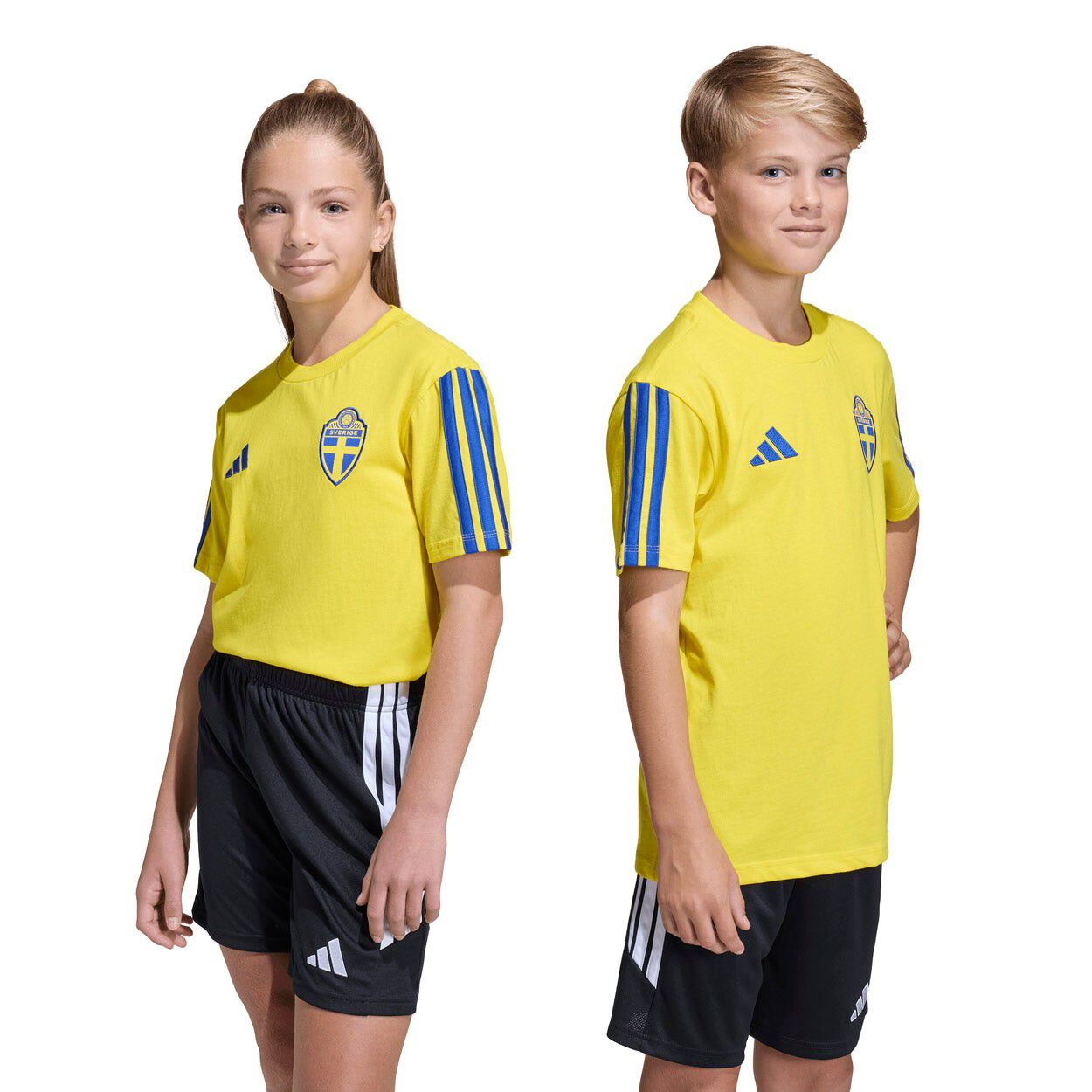 Sverige DNA T-shirt