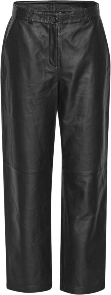 Shane leather pants