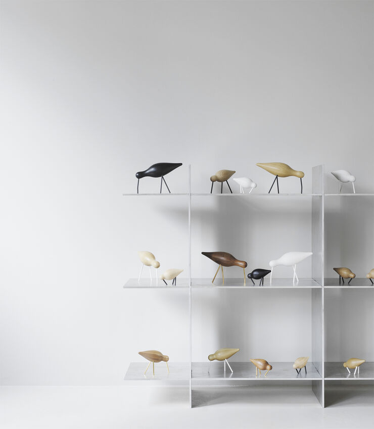 Shorebird stor sort