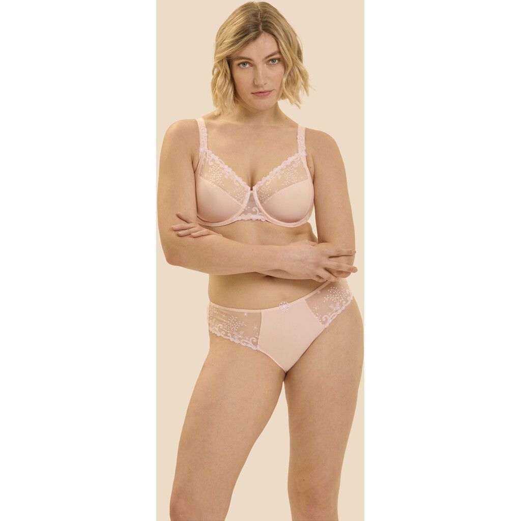 D&Eacute;LICE Brief