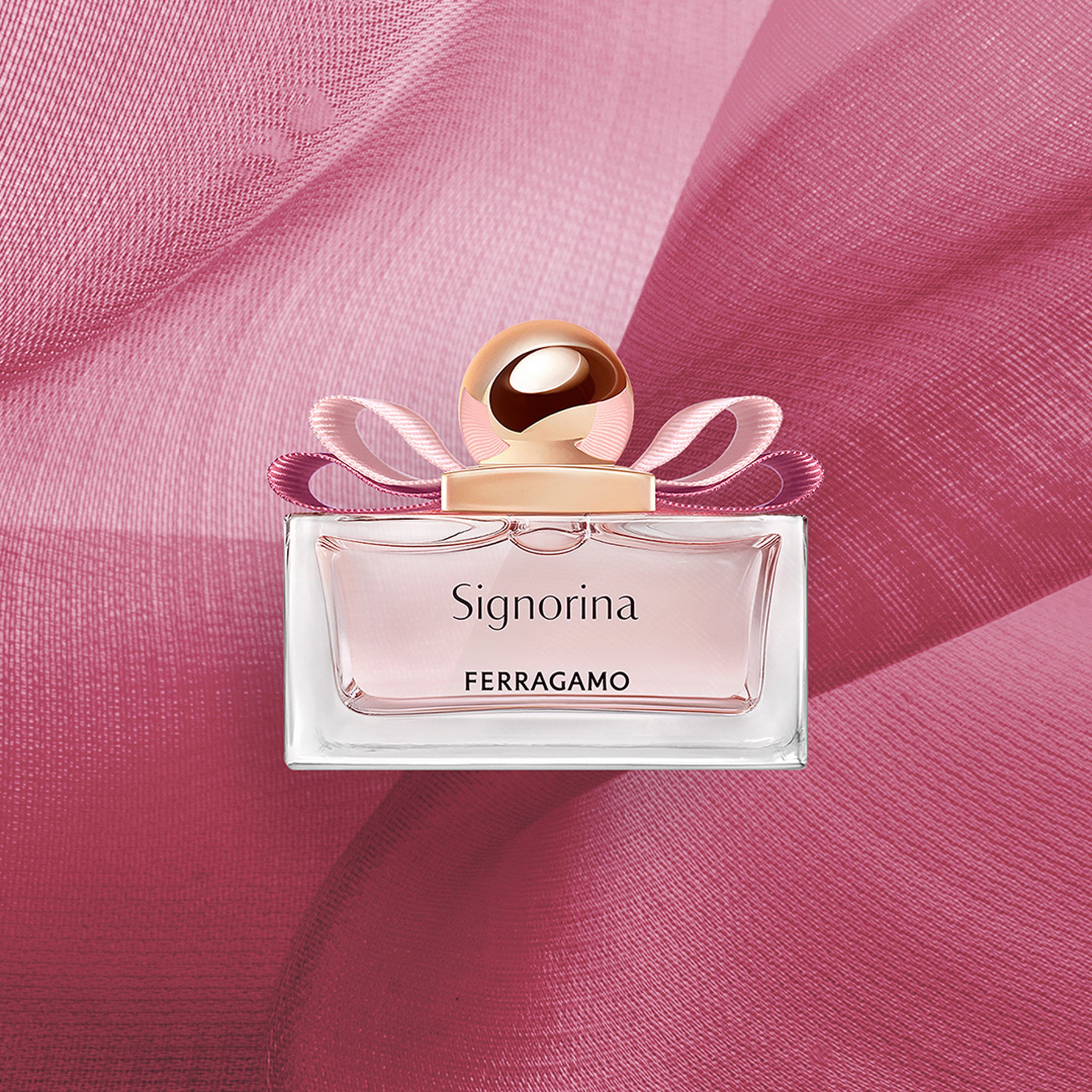 Signorina EDP