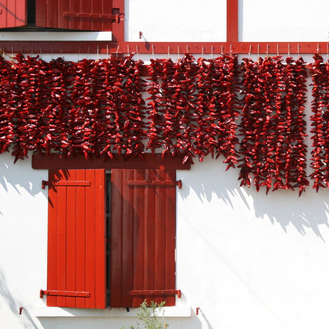 Piment d'Espelette