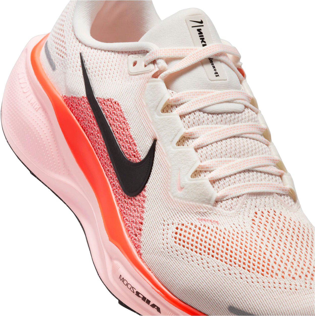 Pegasus 41 L&oslash;besko