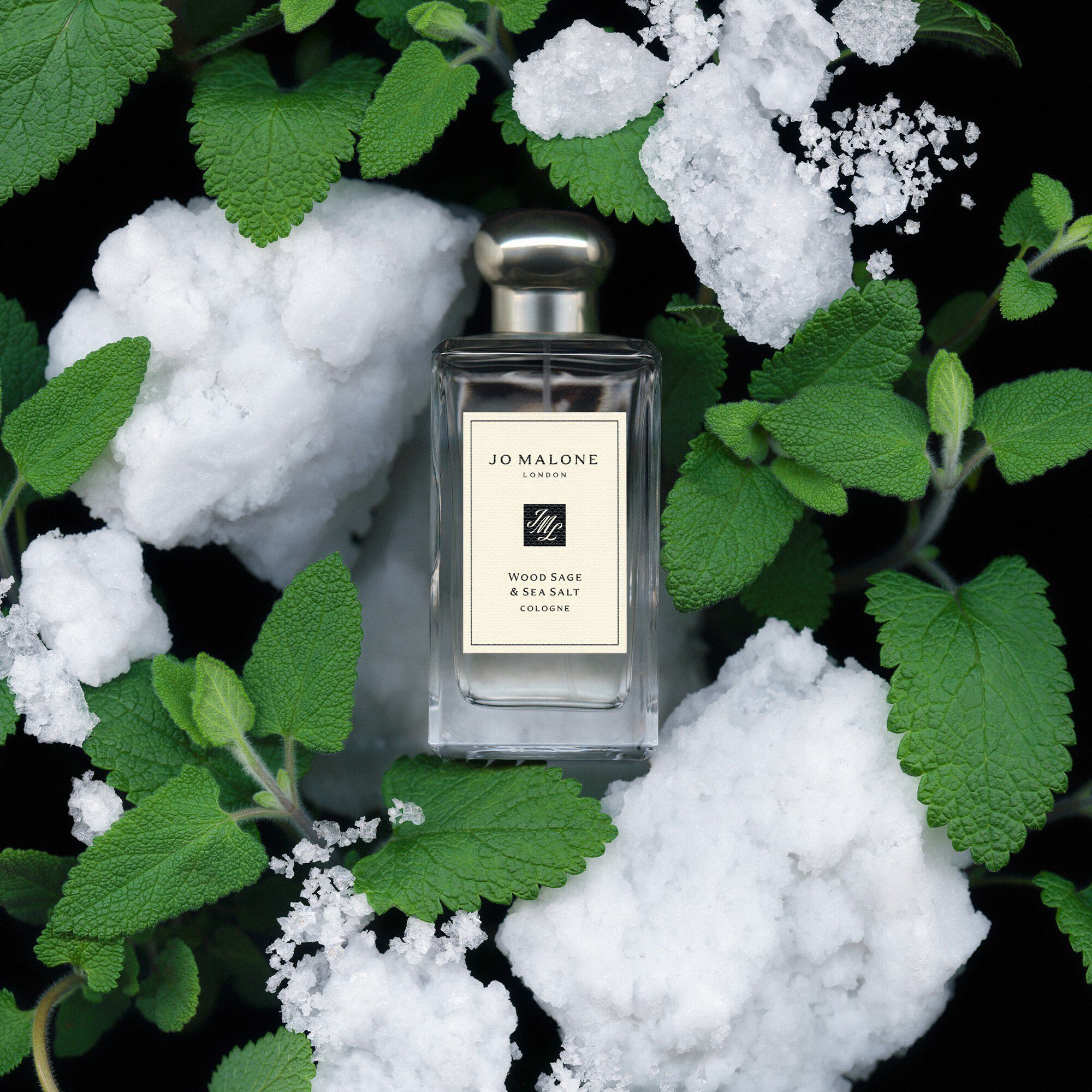 Wood Sage & Sea Salt Cologne