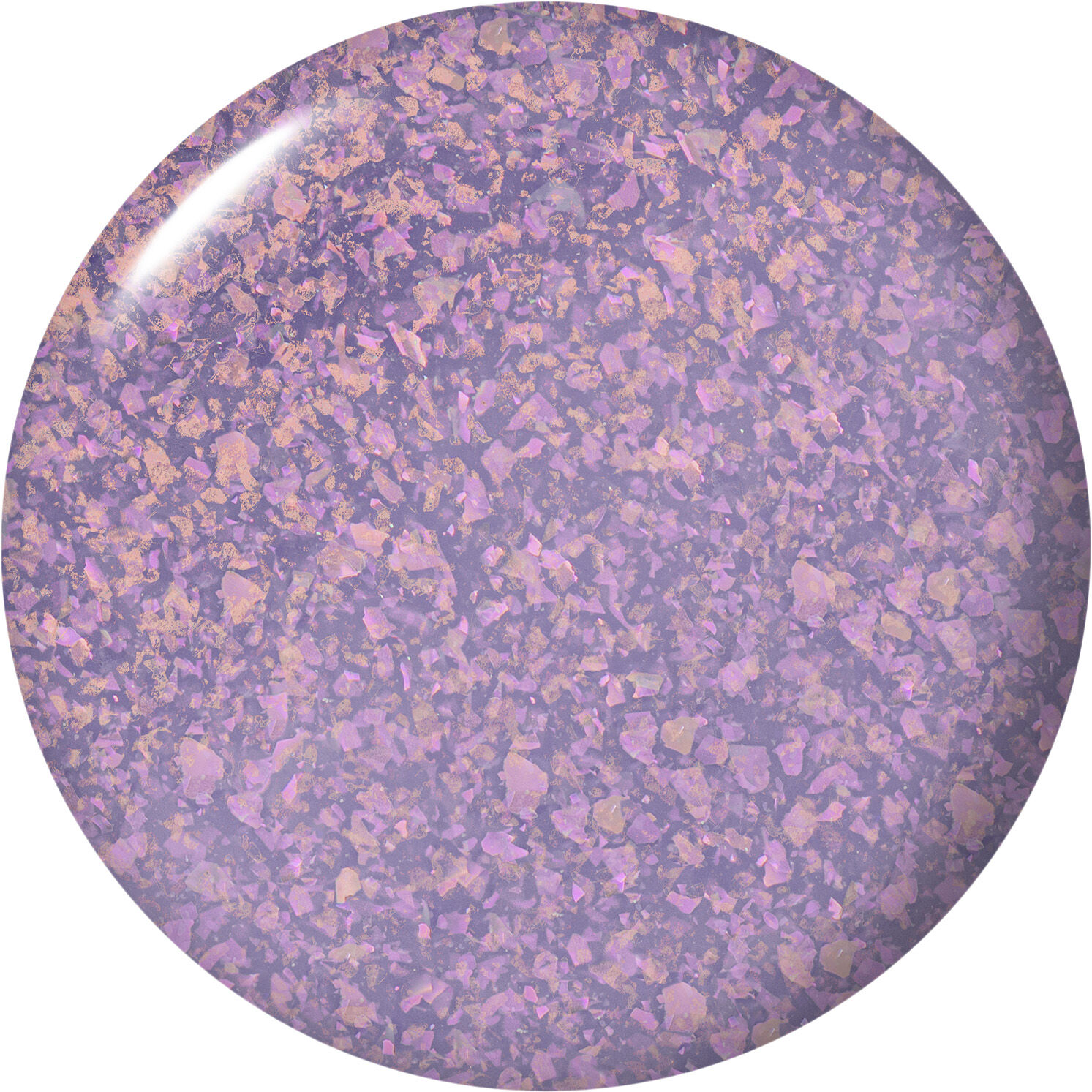 IS - WHERE TIME STUNS STILL