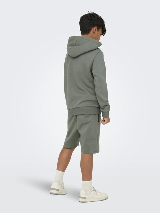 OSJCERES HOODIE SWT NOOS