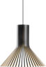 Puncto 4203, Pendel