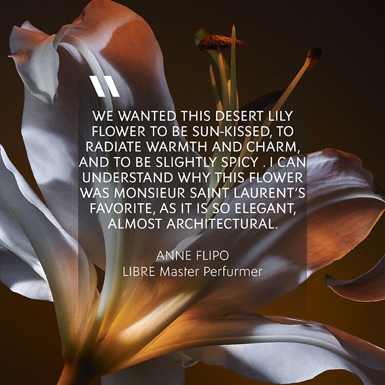 Libre Eau de Parfum Florale