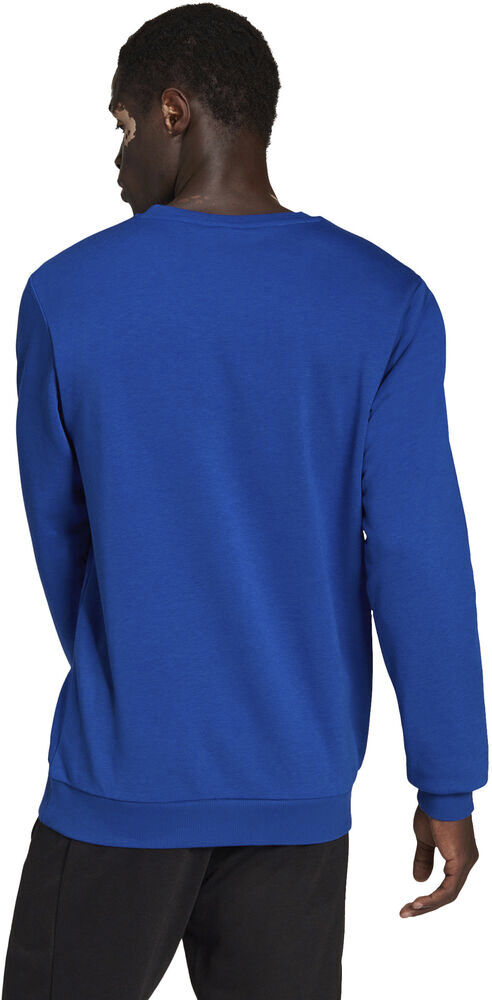 Essentials Big Logo sweatshirt