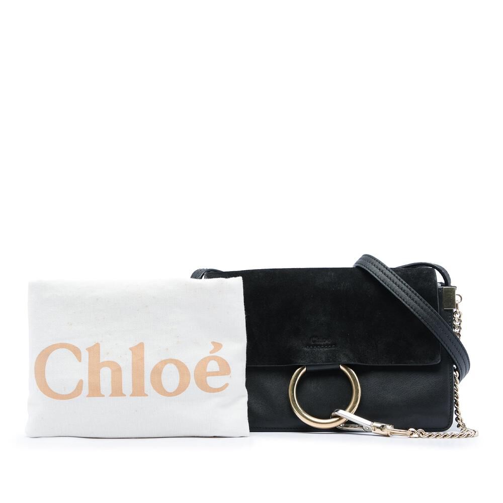 Chlo&eacute; Crossbody Bag