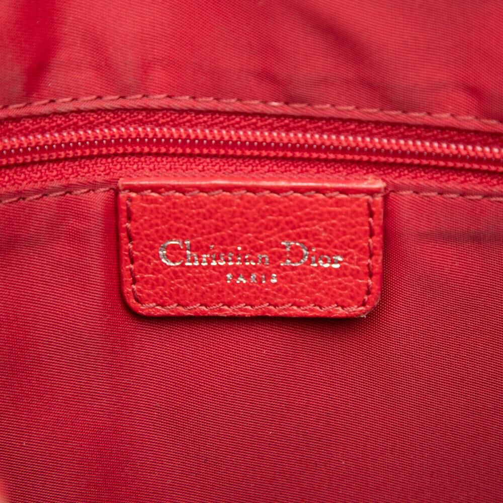 Dior Crossbody Bag
