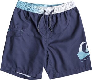 Critical 15"" Swim Shorts