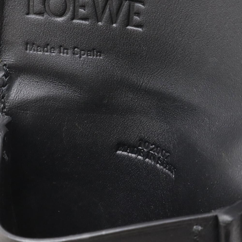 Loewe Pouch