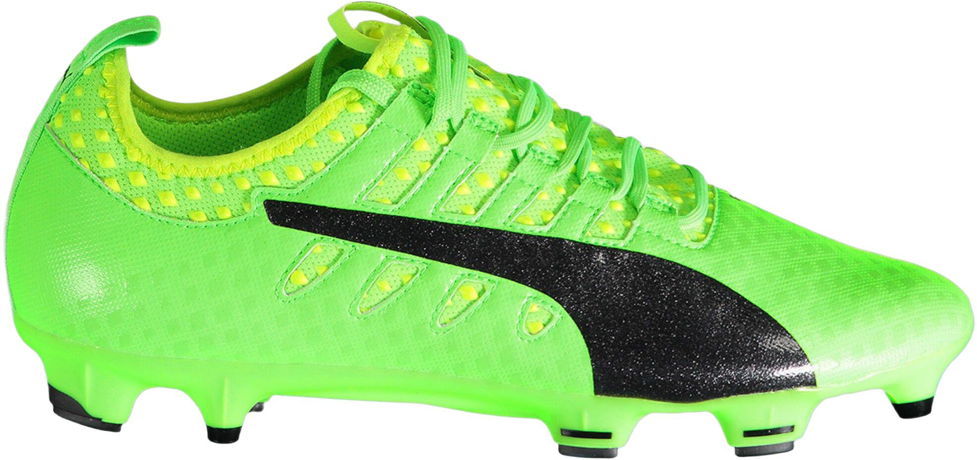 Evopower Vigor 2 Fg