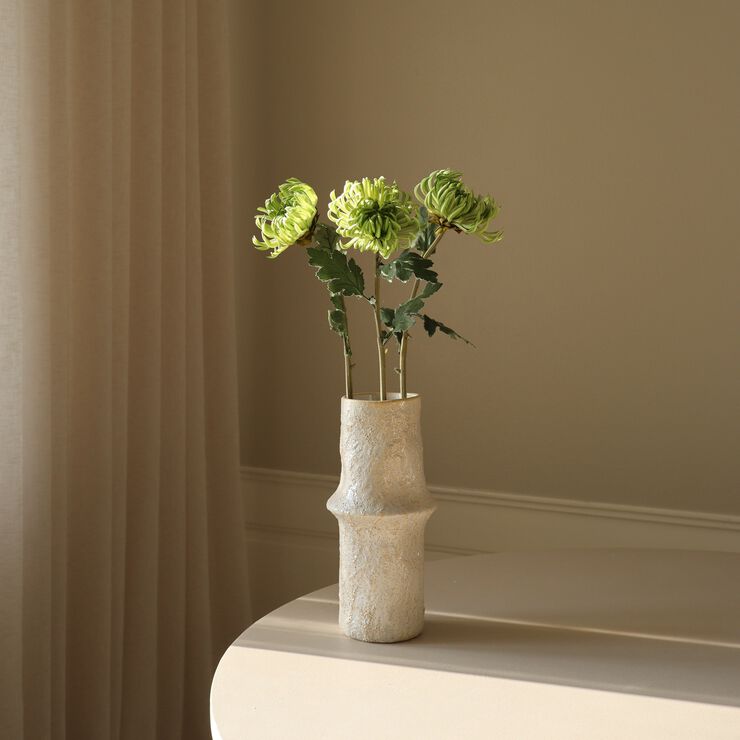 Semi-Cactus Dahlia Flower