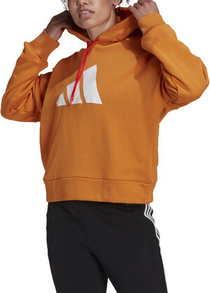 Sportswear Future Icons hættetrøje