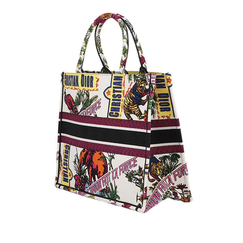 Dior Book Tote