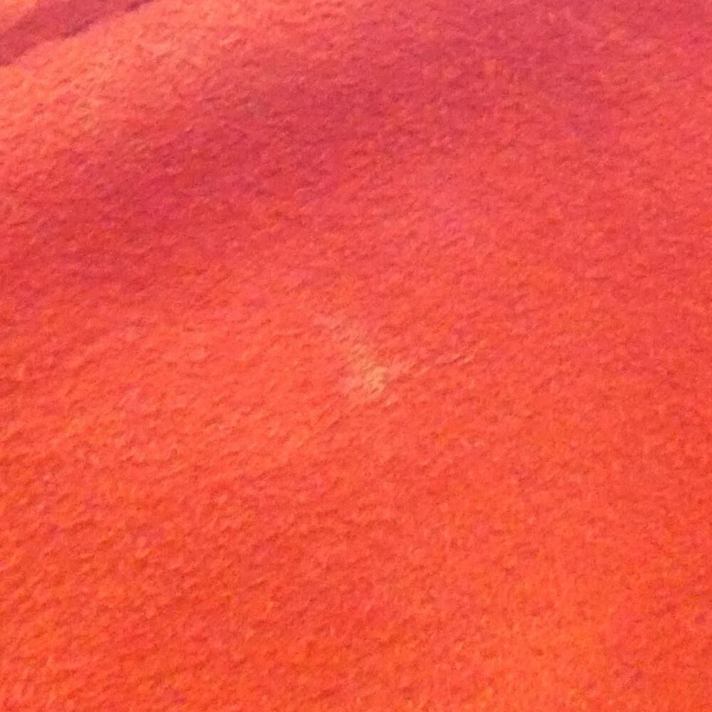 Louis Vuitton Saleya