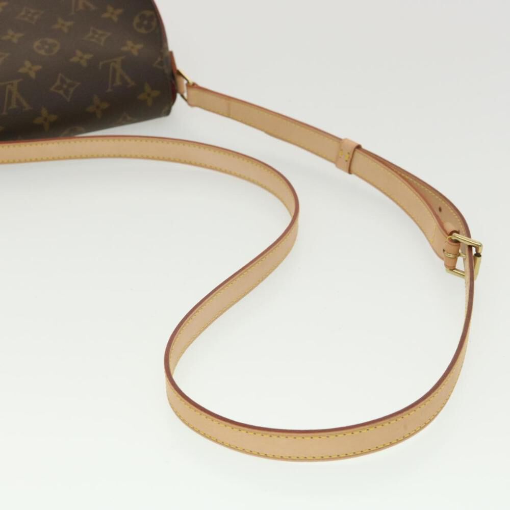 Louis Vuitton Shoulder Bags