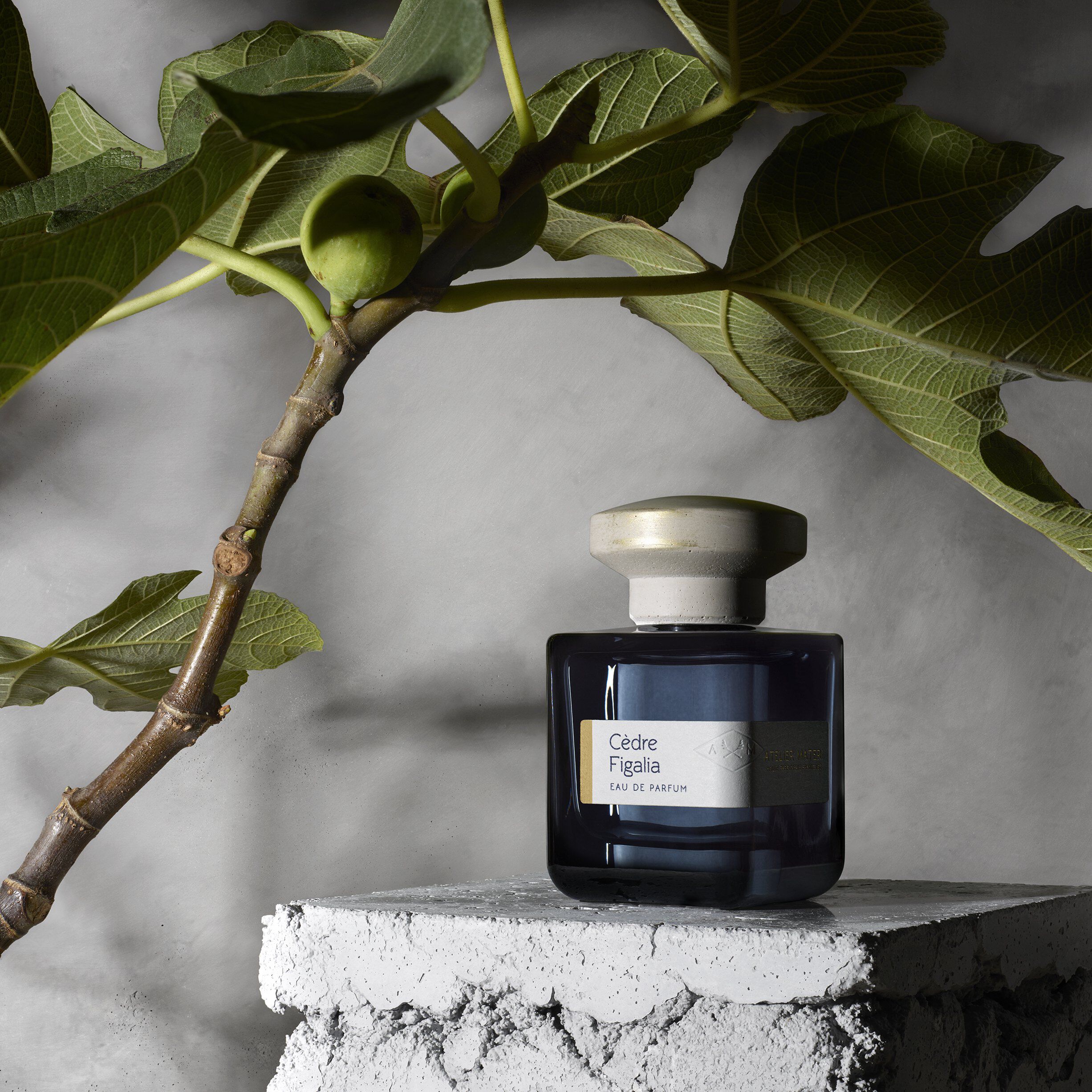 CEDRE FIGALIA