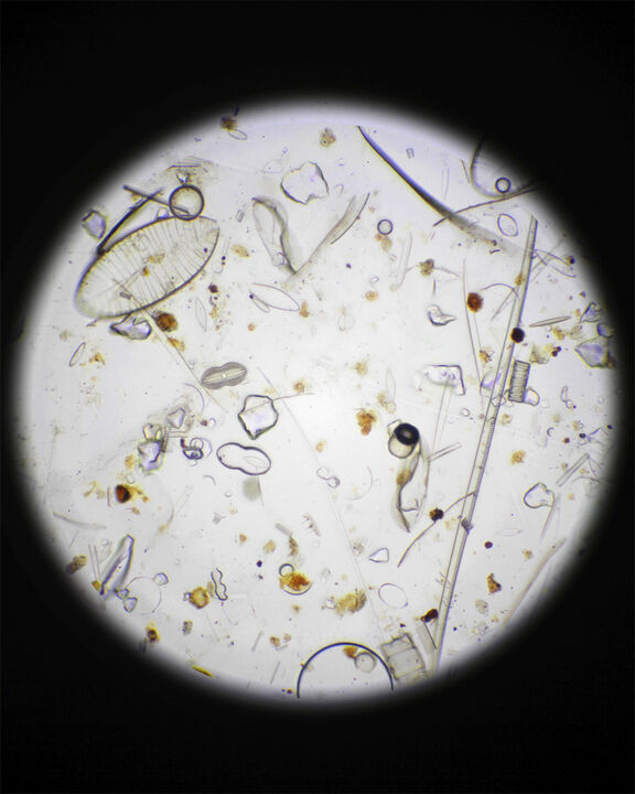 281 Protective Fluid CosN