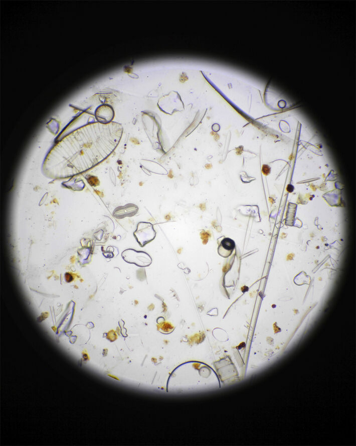 281 Protective Fluid CosN